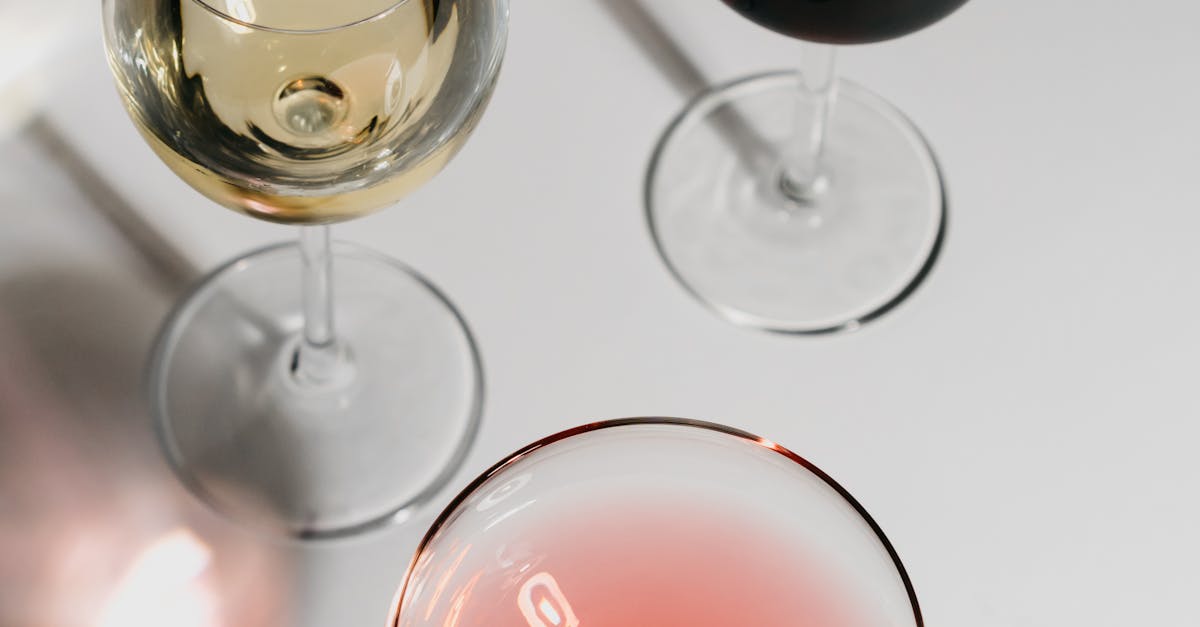 A Guide to Family-Friendly Cocktail Bars in Sydney