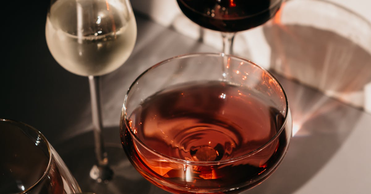 A Taste of the Outback: Signature Bush Tucker Cocktails