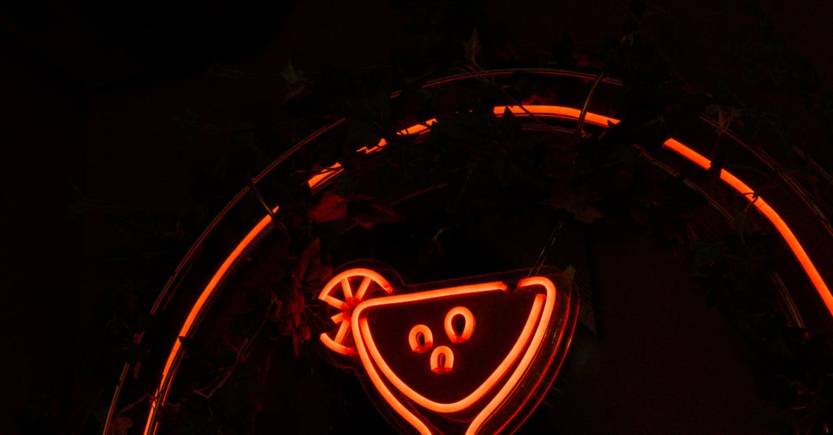 Exploring Sydney's Cocktail Bar Scene: Locations with a View