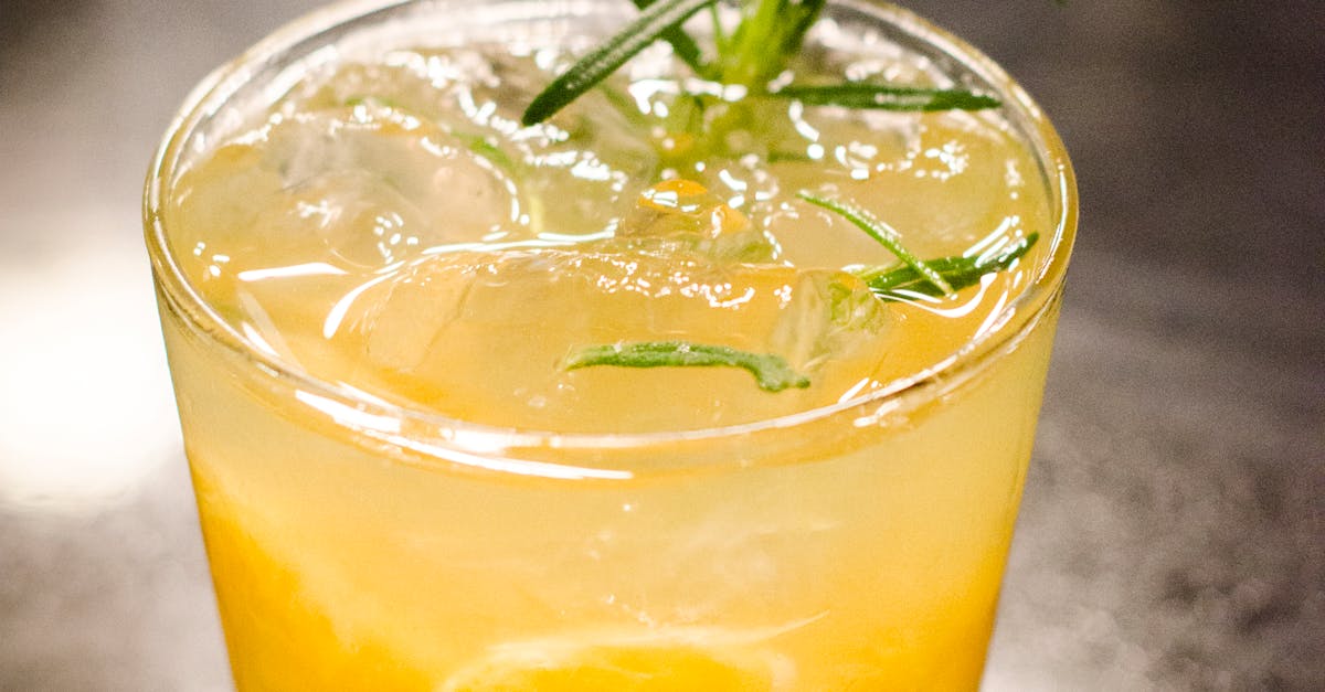 Exploring the Ambience of Sydney's Hidden Cocktail Spots