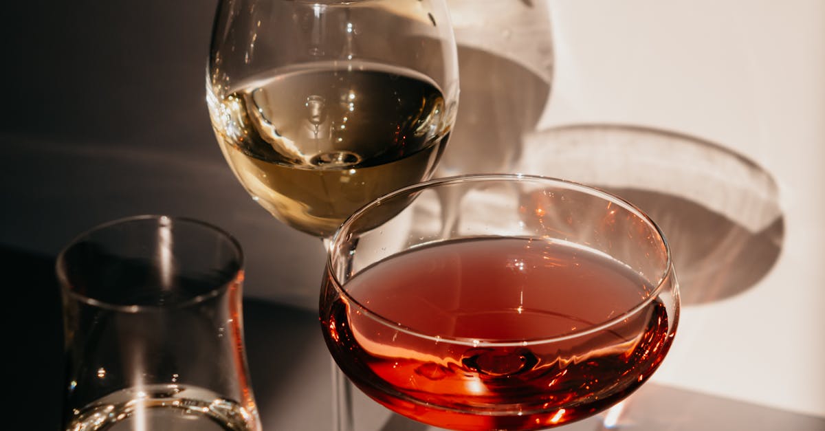Garnishing Cocktails with Local Fruits: A Sydney Guide