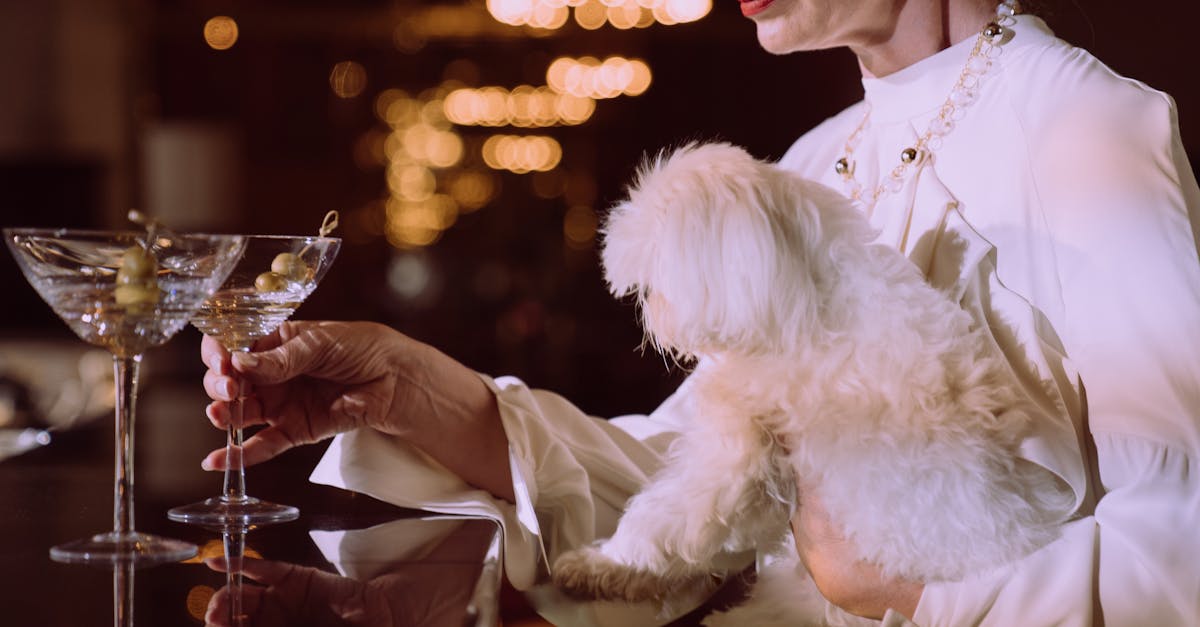 High-End Cocktails Without the Price Tag in Sydney